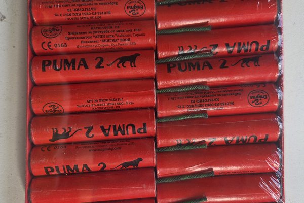 FT_7392 Piratka EK20_PUMA 2